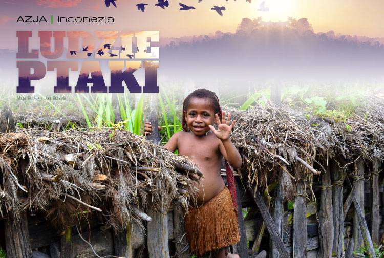 Losowy darmowy artykuł